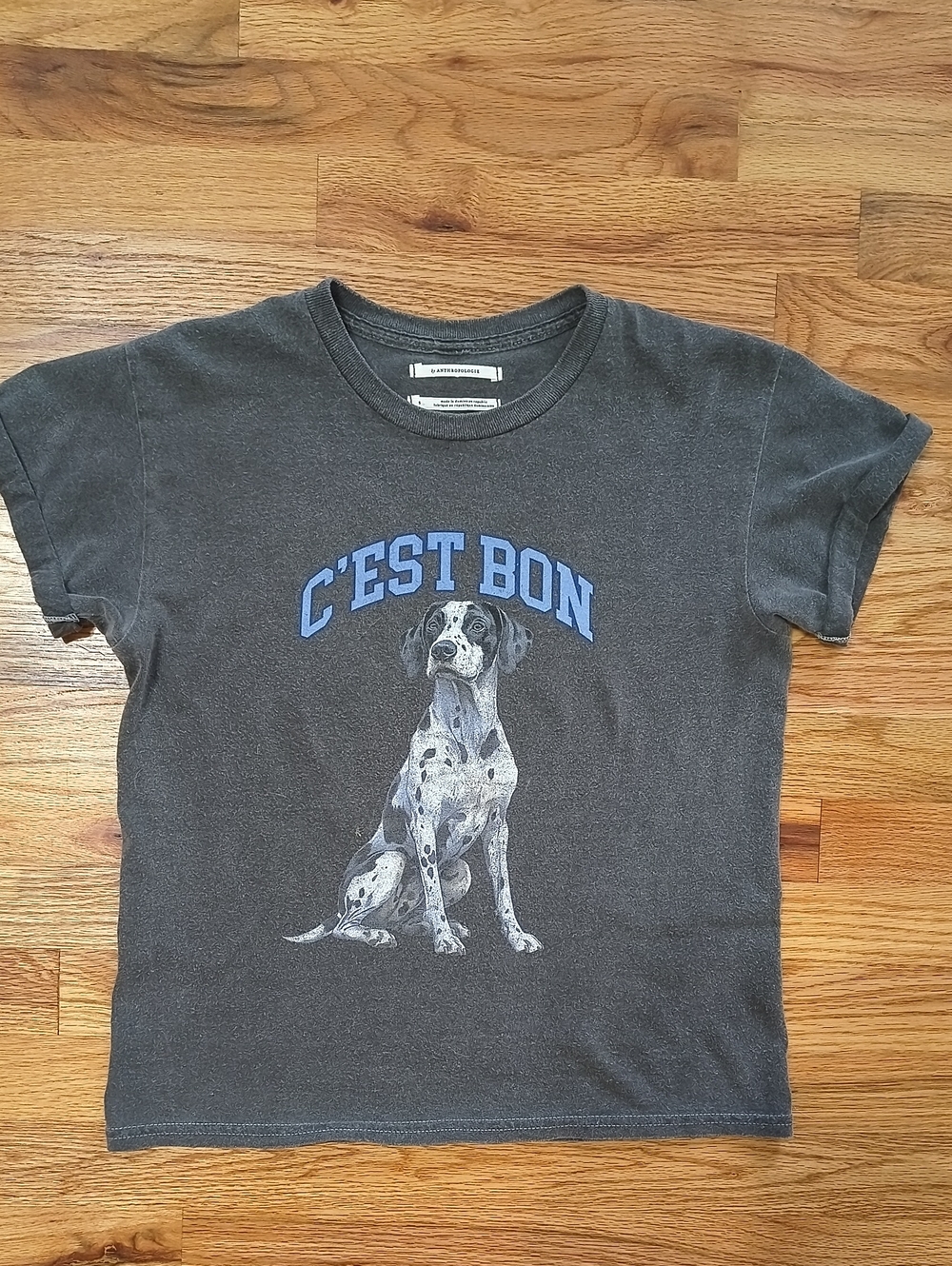 Anthropologie Charcoal Dog Graphic Tee with Blue Lettering